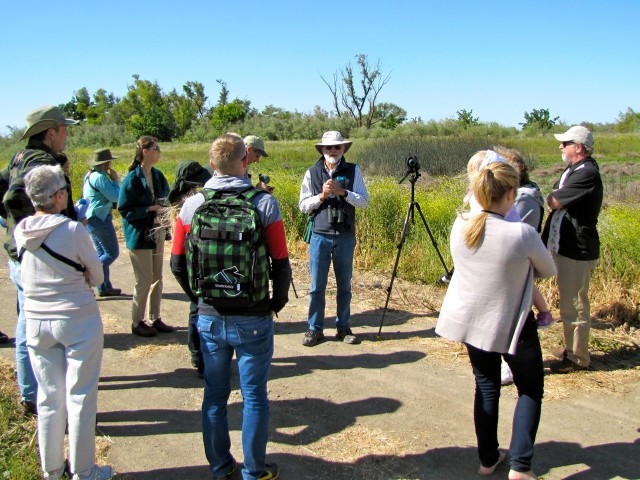 yolo bypass wildlife area davis wetlands guided tour birding